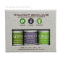 OEM top 3 Therapeutic Grade essential oil  set